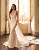 camelia ap main2027 1 1