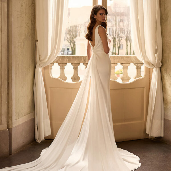 camelia ap main2027 2