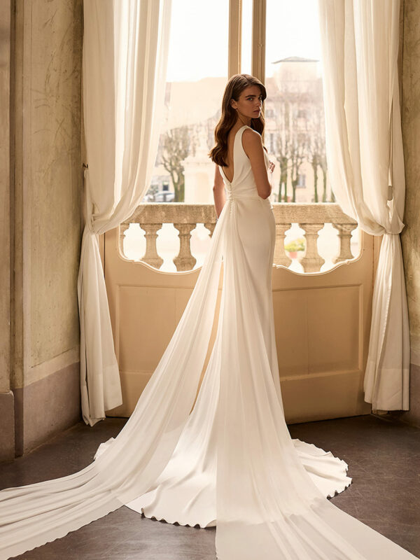 camelia ap main2027 2